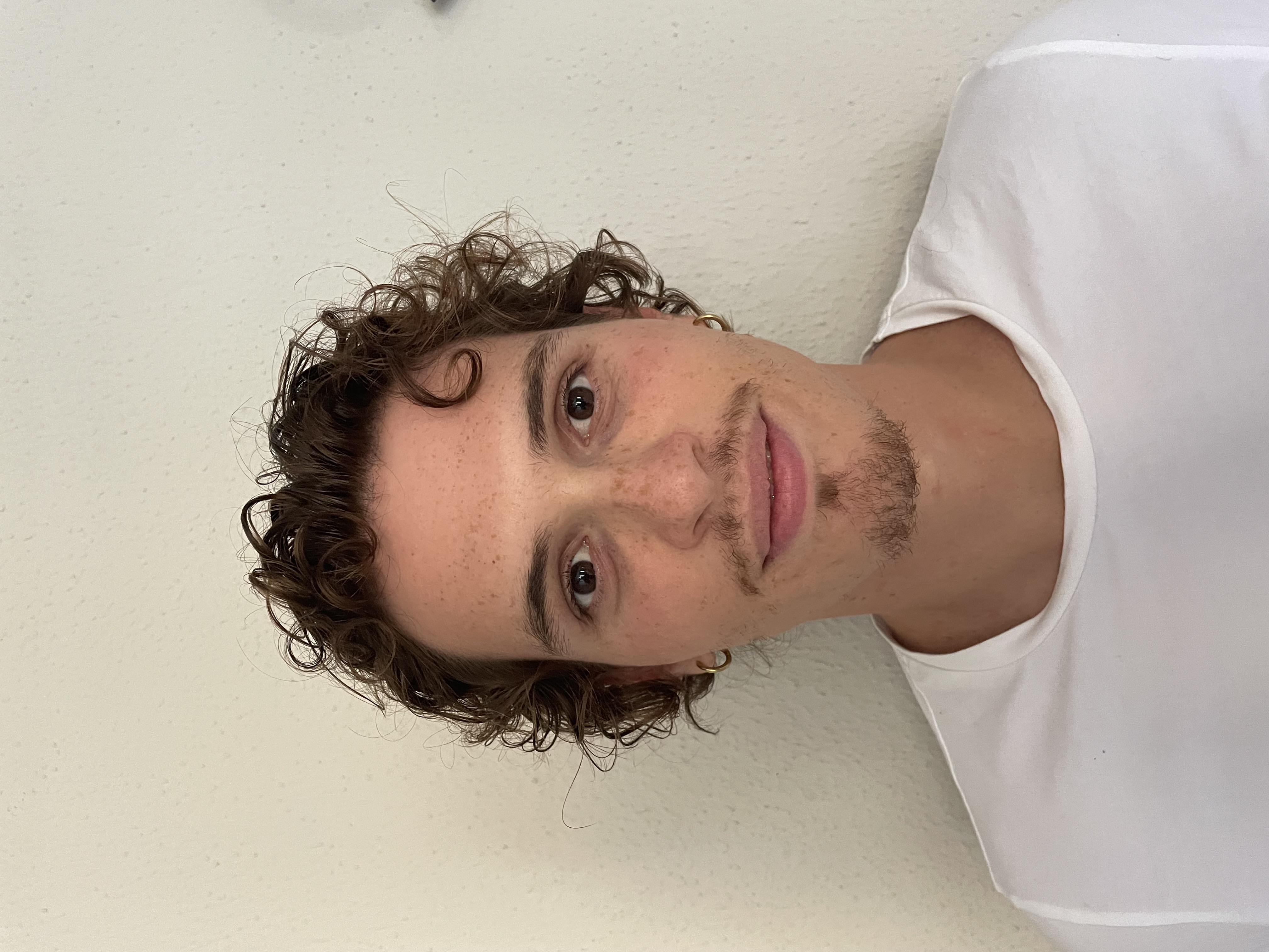 Francesco Bellingeri